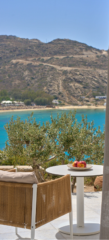 FAMILY ΣΟΥΙΤΕΣ