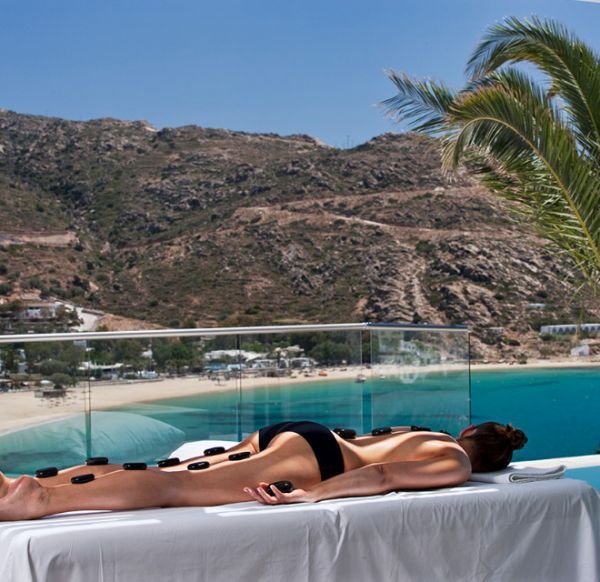 Wellness